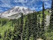 Mount Rainier National Park