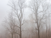 Great Smoky Mountain National Park 