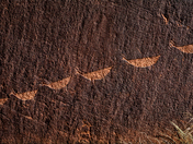 Glen Canyon National Recreation Area