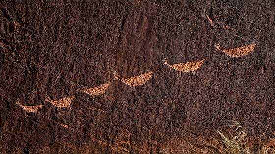 Glen Canyon National Recreation Area
