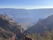 Grand Canyon National Park