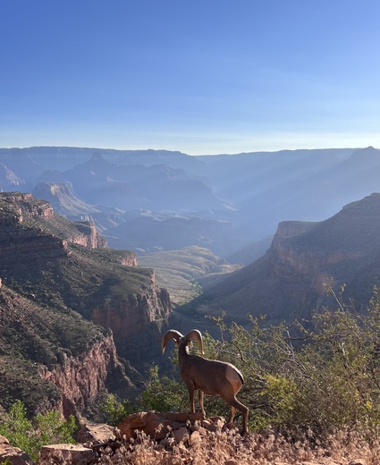 Grand Canyon National Park