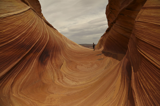 The Wave