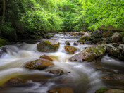 Great Smoky Mountains National Park