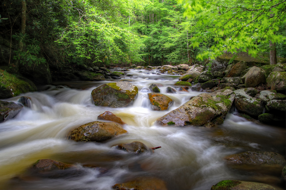 Great Smoky Mountains National Park
