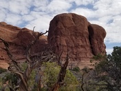 Arches National Park