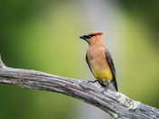 Cuyahoga Valley National Park
