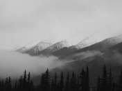 Denali National Park
