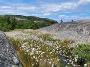 Acadia National Park