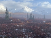 Denali National Park