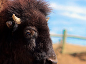Badlands National Park 