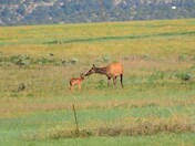 Las Vegas National Wildlife Refuge