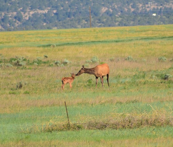 Las Vegas National Wildlife Refuge