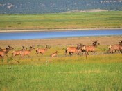 Las Vegas National Wildlife Refuge