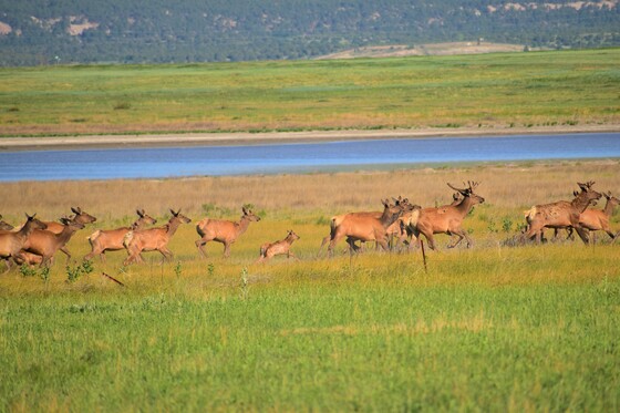 Las Vegas National Wildlife Refuge