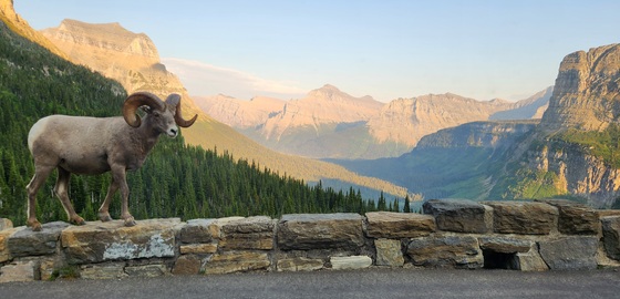 Glacier National Park