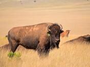 Rio Mora National Wildlife Refuge