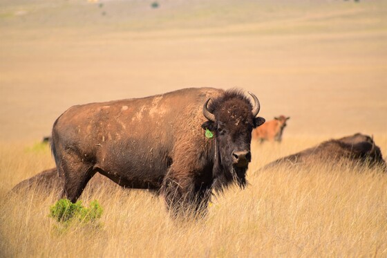 Rio Mora National Wildlife Refuge