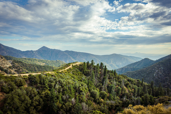 San Bernardino National Forest 