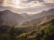 San Bernardino National Forest 
