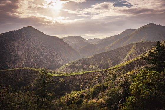San Bernardino National Forest 