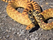Rio Mora National Wildlife Refuge