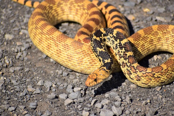 Rio Mora National Wildlife Refuge