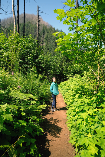 Columbia River Gorge National Scenic Area 