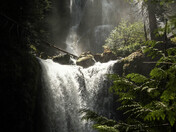 Okanogan-Wenatchee National Forest