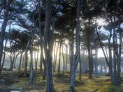 Golden Gate National Recreation Area-Lands End