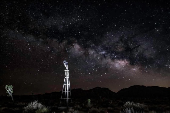Joshua Tree National Park