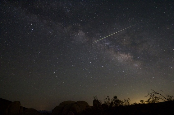 Joshua Tree National Park