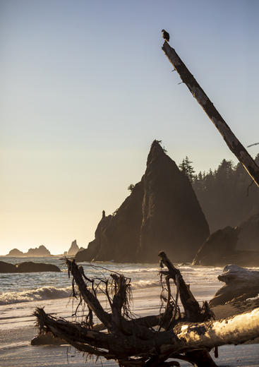 Olympic National Park