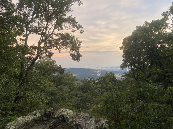 Cooper's Creek Wildlife Management Area