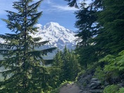 Mt Rainier National Park