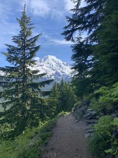 Mt Rainier National Park