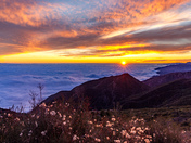 Los Padres National Forest