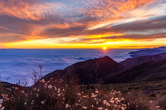 Los Padres National Forest