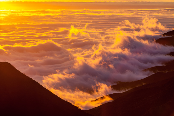 Los Padres National Forest