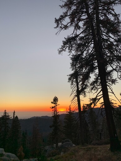 Sequoia National Park