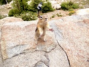 Rocky Mountain National Park