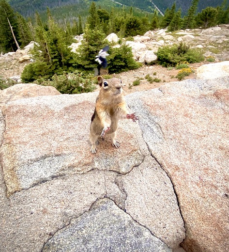 Rocky Mountain National Park