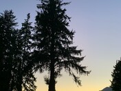 Olympic National Park