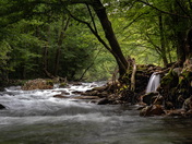 Great Smoky Mountains National Park