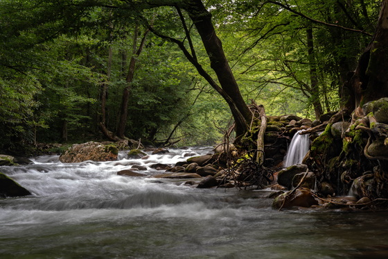 Great Smoky Mountains National Park