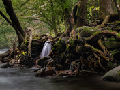 Great Smoky Mountains National Park