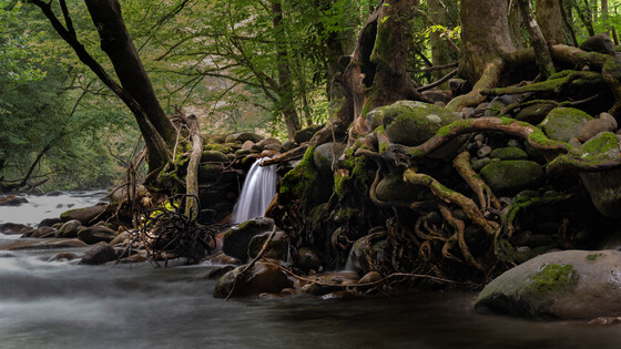 Great Smoky Mountains National Park