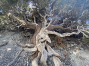 Death Valley National Park