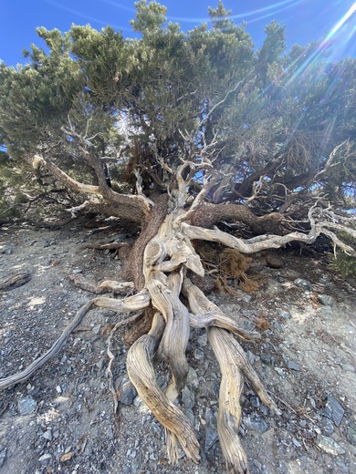 Death Valley National Park