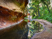 West Fork / Call of the Canyon Wilderness Sedona, AZ